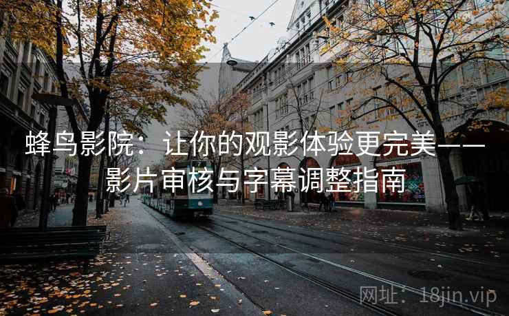 蜂鸟影院：让你的观影体验更完美——影片审核与字幕调整指南