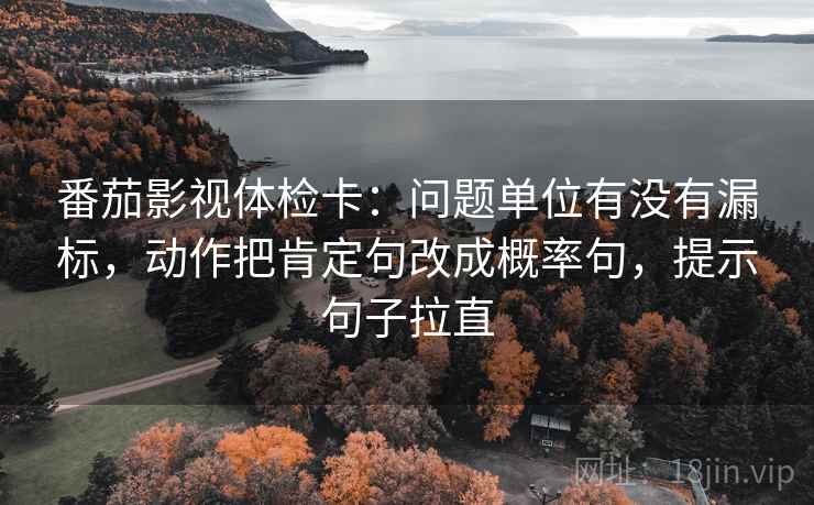 番茄影视体检卡：问题单位有没有漏标，动作把肯定句改成概率句，提示句子拉直