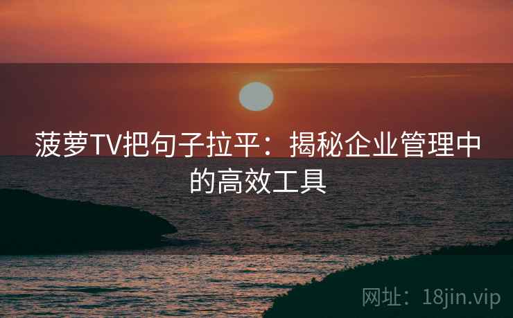 菠萝TV把句子拉平：揭秘企业管理中的高效工具