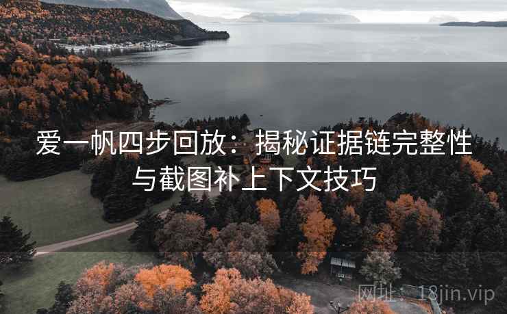 爱一帆四步回放：揭秘证据链完整性与截图补上下文技巧
